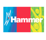 logo_hammer